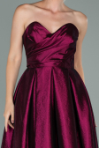 Robe de Soirée Longue Prune ABU2007