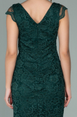 Robe de Soirée Courte Émeraude ABK010