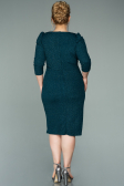 Robe Grande Taille Courte Émeraude ABK1246