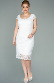 Robe Grande Taille Courte Blanc ABK010