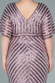 Robe de Soirée Grande Taille Longue Poudre ABU2309