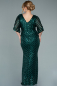 Robe de Soirée Grande Taille Longue Émeraude ABU2309