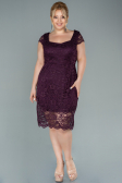 Robe Grande Taille Courte Prune ABK010