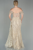 Robe De Soirée Longue Or ABU2706