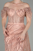 Robe De Soirée Longue Poudre ABU2706