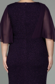 Robe de Soirée Grande Taille Longue Violet ABU2857