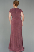 Robe de Soirée Grande Taille Longue Couleur Rose ABU2870
