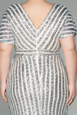 Robe De Soirée Grande Taille Courte Beige ABK686