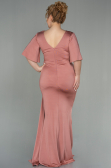 Robe Grande Taille Longue Pelure D'oignon ABU2441