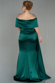 Robe Grande Taille Longue Satin Émeraude ABU2873