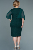 Robe de Soirée Grande Taille Midi Émeraude ABK1567