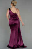Robe Grande Taille Longue Prune ABU2932