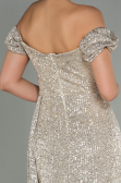 Robe de Soirée Longue Squameuse Vison ABU2987