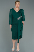 Robe Grande Taille Midi Émeraude ABK1726