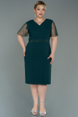Robe Grande Taille Midi Émeraude ABK1338