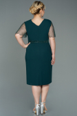 Robe Grande Taille Midi Émeraude ABK1338