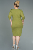 Robe Grande Taille Courte Pistache vert ABK1246