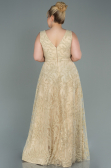 Robe de Soirée Grande Taille Longue Or ABU2537