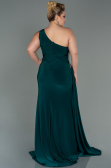 Robe Grande Taille Longue Émeraude ABU3132