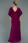 Robe Grande Taille Longue Prune ABU3173