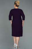 Robe De Soirée Grande Taille Midi Prune ABK1621