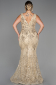 Robe de Soirée Grande Taille Longue Or ABU3214