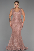 Robe de Soirée Grande Taille Longue Pelure D'oignon ABU3214