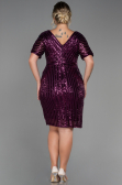 Robe De Soirée Grande Taille Courte Prune ABK686