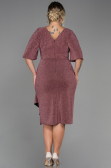 Robe De Soirée Grande Taille Midi Poudre ABK1625