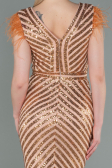Robe de Soirée Longue Saumon ABU881