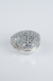 Sac de Soirée Luxe Pierreux Argent SH829