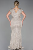 Robe Grande Taille Longue Vison ABU1045