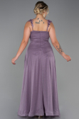 Robe De Soirée Grande Taille Longue Lavande ABU3174
