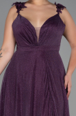 Robe de Soirée Grande Taille Longue Violet ABU3174