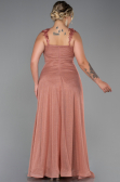 Robe de Soirée Grande Taille Longue Pelure D'oignon ABU3174