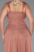 Robe de Soirée Grande Taille Longue Pelure D'oignon ABU3174