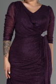 Robe Grande Taille Longue Violet ABU3279
