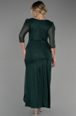 Robe Grande Taille Longue Émeraude ABU3279