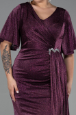 Robe de Soirée Grande Taille Longue Prune ABU3282
