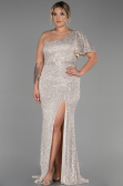 Robe Grande Taille Longue Vison ABU1893