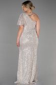 Robe Grande Taille Longue Vison ABU1893