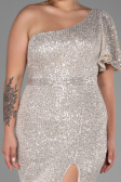 Robe Grande Taille Longue Vison ABU1893