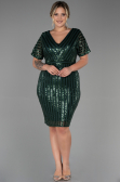 Robe De Soirée Grande Taille Courte Émeraude ABK686