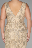 Robe De Fiançailles Grande Taille Longue Or ABU3368