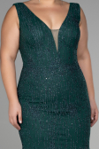 Robe De Fiançailles Grande Taille Longue Émeraude ABU3368