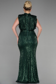 Robe De Soirée Grande Taille Squameuse Longue Vert ABU3115