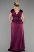 Robe De Fiançailles Grande Taille Longue Satin Prune ABU3433