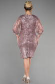 Robe De Soirée Grande Taille Courte Poudre ABK631