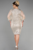 Robe de Soirée Grande Taille Courte Vison ABK631