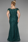 Robe De Soirée Grande Taille Lacé Longue Émeraude ABU3435